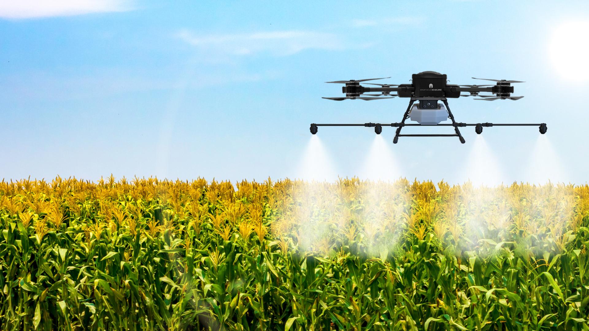 Spartacus Endure: Spartacus Drone Pulverizing fertilizers on a greenish corn farm in a sunny day